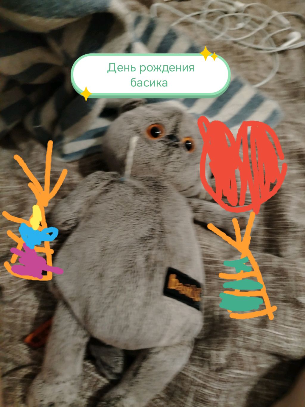 День рождения басика