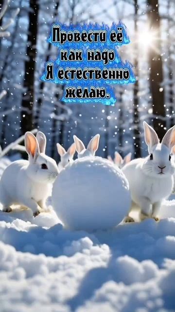 С первым днём зимы.mp4