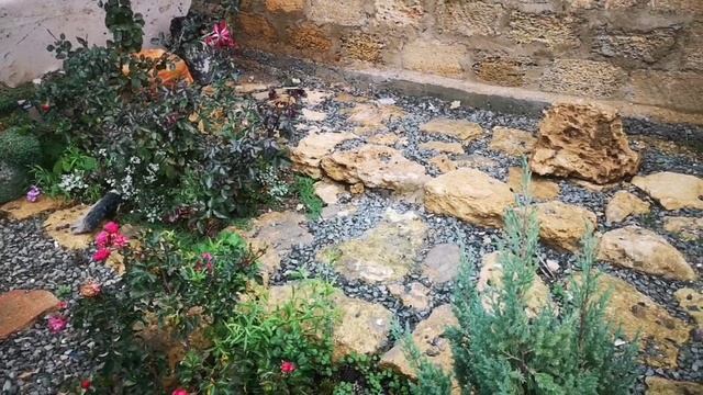 Дизайн моего участка. Как я это делала. Дворик