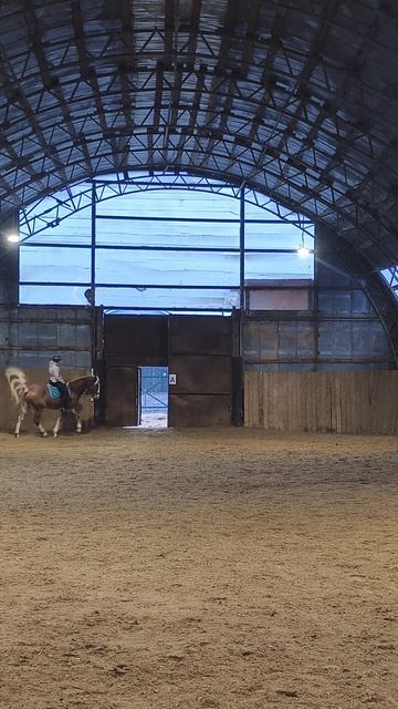 Анна и Каспер, переход с галопа в шаг на А в манеже.
