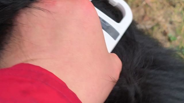 7. выражено/перв ZIMON V. FRANKENGOLD (Asap v. Aldamar – Paulina v. Frankengold)