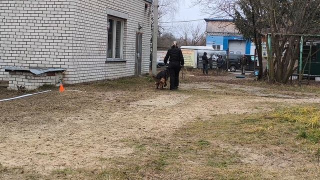 10. выражено/пож VARVARA ARBEIT*S ARISTOKRATEN (San-Rathelle Eurostar – Bior Arbeit*S Aristokraten)