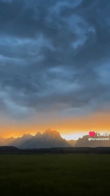 Эстетика для любителей лошадок