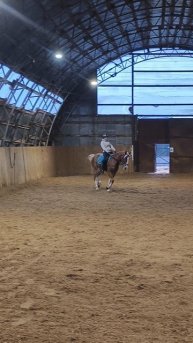 Анна и Каспер, петля на галопе в манеже.