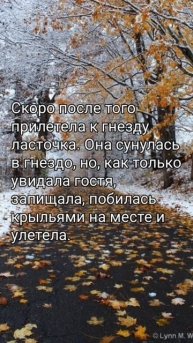 Pisatel - Воробей и ласточка (Лев Толстой)