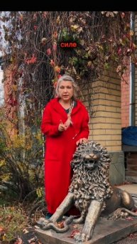 Как достичь цель?