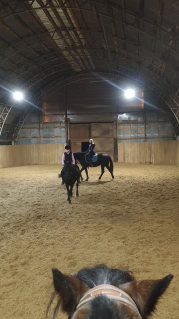 Даша и Наоми, Аквилон подсказывает Даше, как правильно делать принимание на шагу.