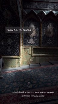 Имам Али (а) сказал:
«Слабейший человек — тот, кто не может победить свои желания».
Источник 📚 Гу