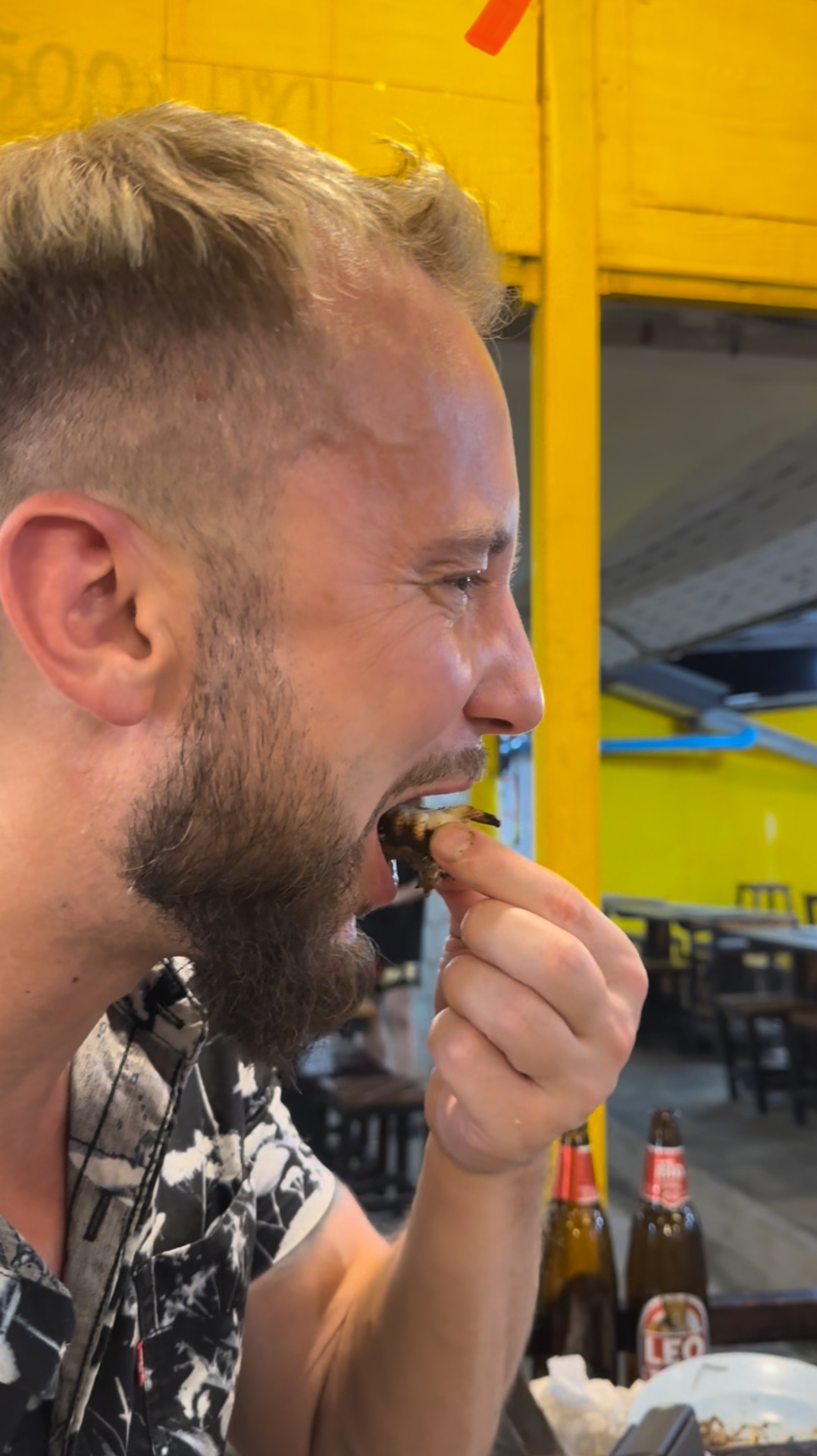 Осьминог лопнул … и это было лишним 🤣