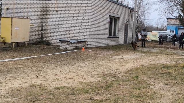 1.  выражено/перв DE ORSE MAK FLAI ZHAR (Uran della Val Sangro – De Orse Mak Flai Zumma)