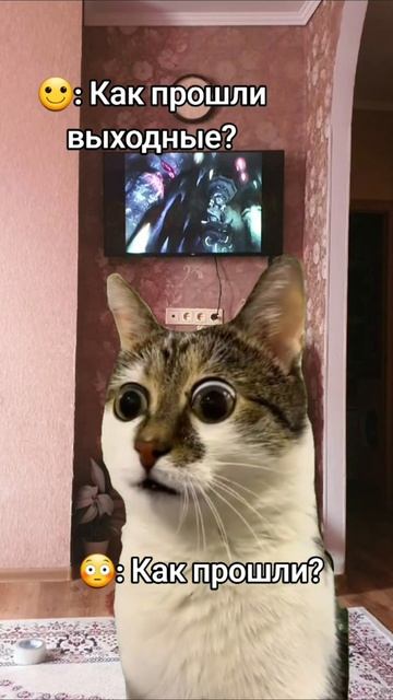 как миг пролетели ...