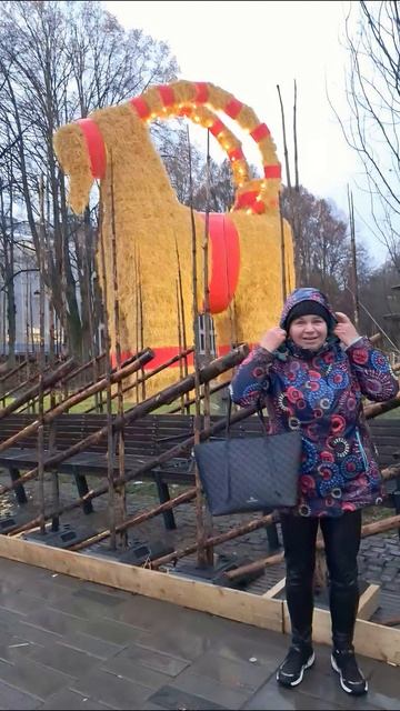 1 Адвент в городе Евле, празднуется в 4е воскресенье до Рождества. Тогда ставится Соломенный Козел