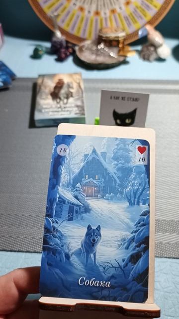 Девятнадцатое декабря 2025 года. Карта дня