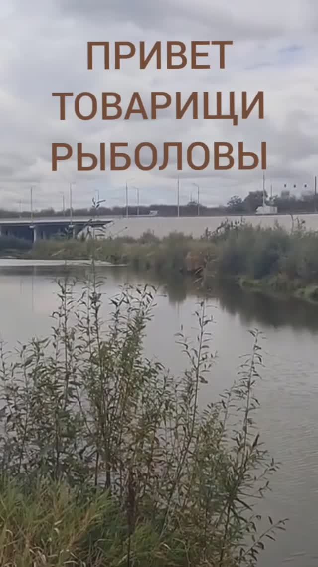 📻 ПРАКТИК 7 WIFI, эхолот