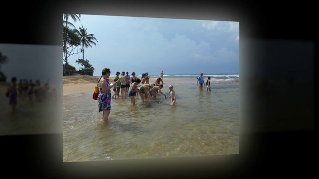 2014 11 Шри Ланка