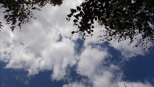 Изречения Викториана О ТАКОМ, КАКОЕ ЕСТЬ