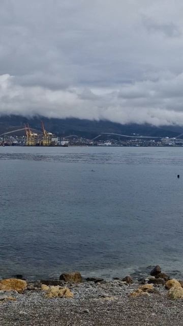 Новороссийск.Зима.❄️