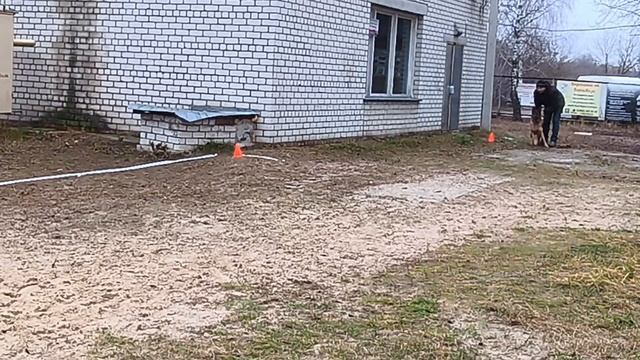 6. выражено/пож ЖДАНА ИЗ ДРУЖИНЫ ПЕРЕСВЕТА (Helios di Fosco Aidas – Зара Атом)