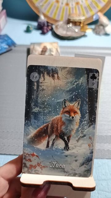 Восемнадцатое декабря 2025 года. Карта дня