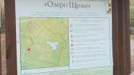 Тропа здоровья_Щучье озеро