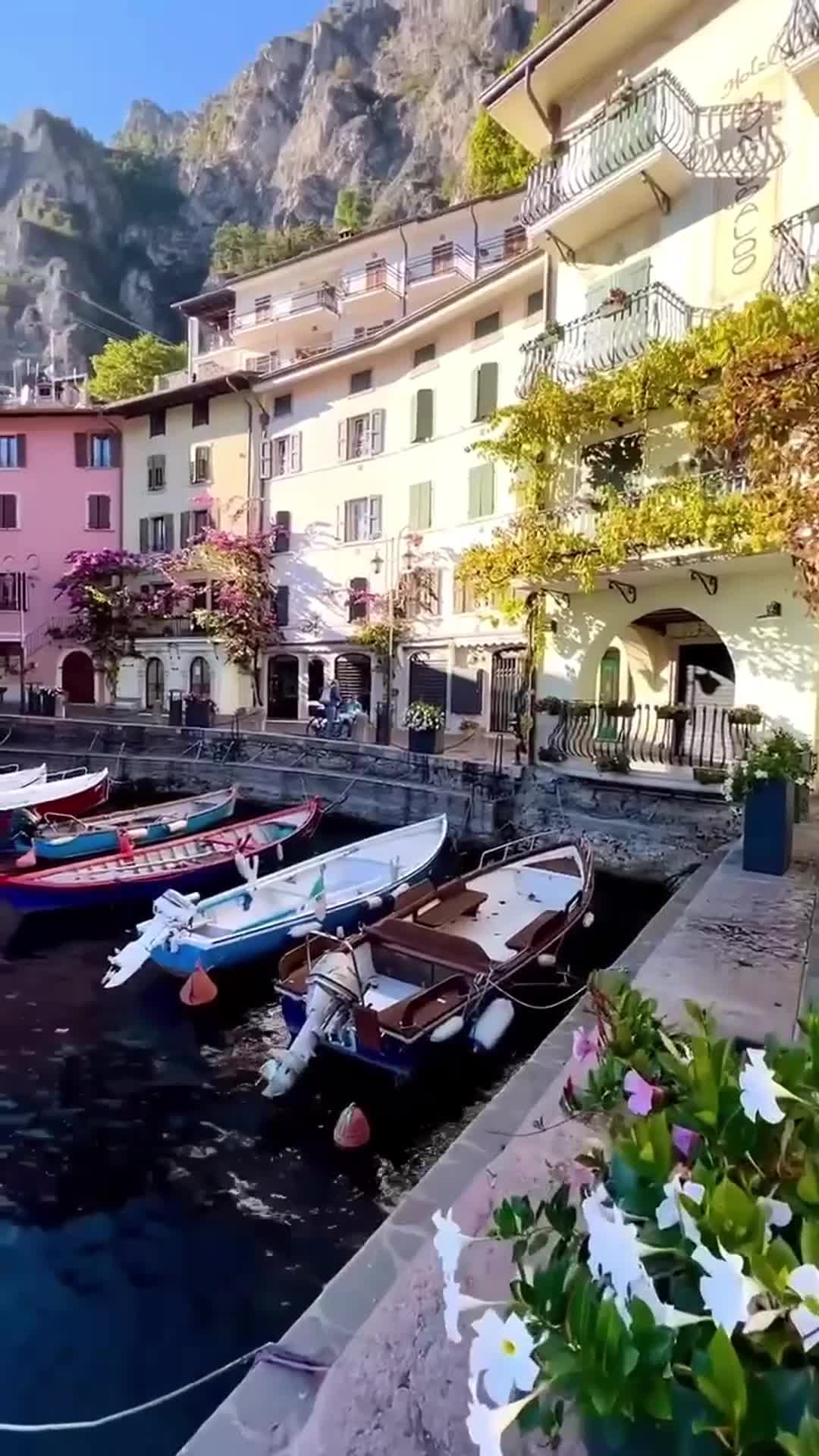 В городе Гарда на озере Гарда туристы и местные жители наслаждаются лазурной водой, оливковыми ро...