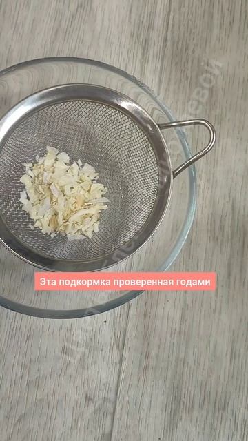 Эти 2 ПОДКОРМКИ для всех ЦВЕТОВ даже самые слабенькие оживают и зеленеют