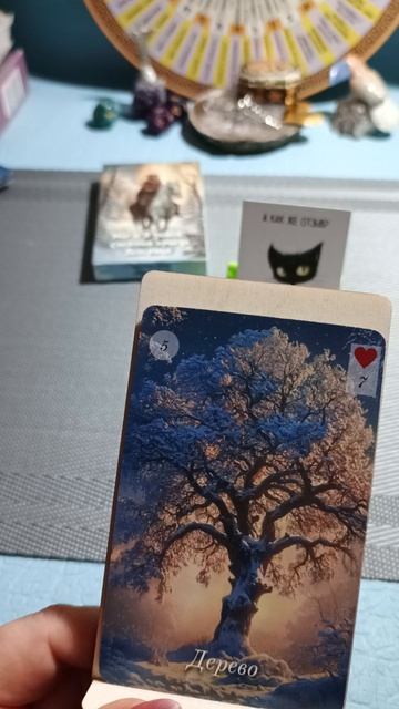 Двадцать четвертое декабря 2025 года. Карта дня