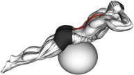 10 Упражнений с ФИТБОЛОМ для Тренировки Всего ТЕЛА