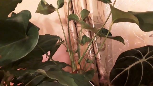 Это было недавно...