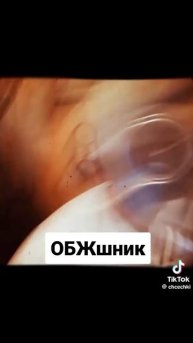 как идут розные учителя