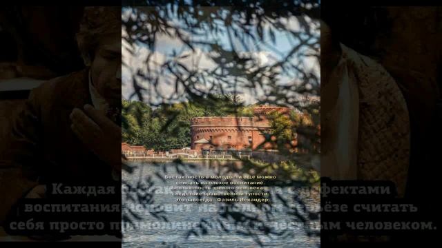 Бестактность?