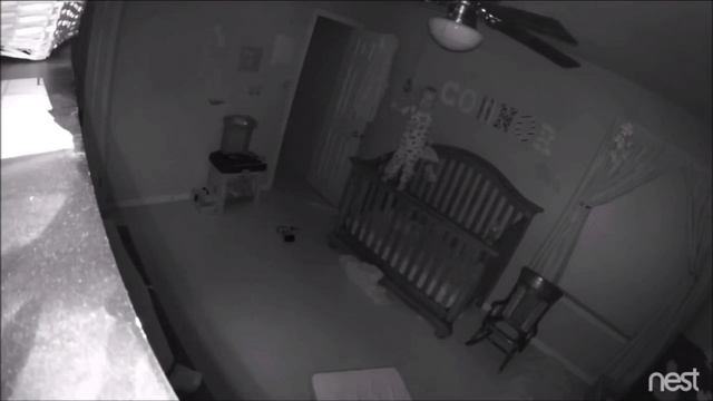 Профессор паранормальных явлений