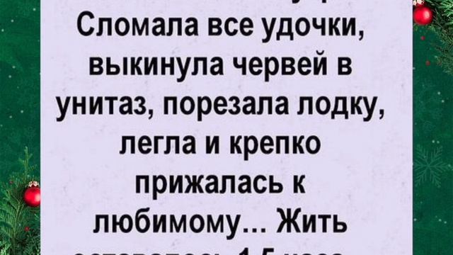 Юмор, приколы, анекдоты, статусы.