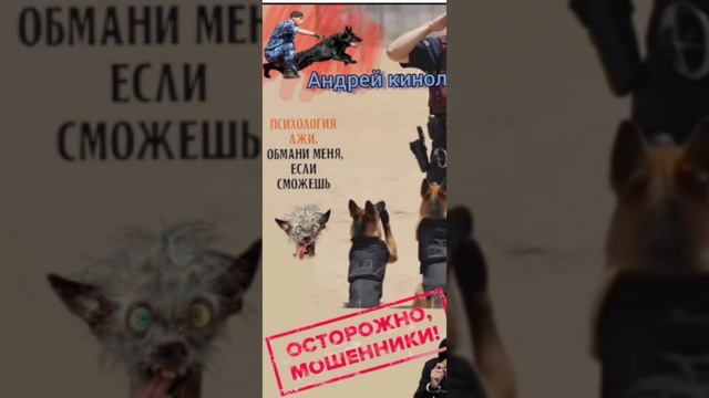 Лев взаперти.