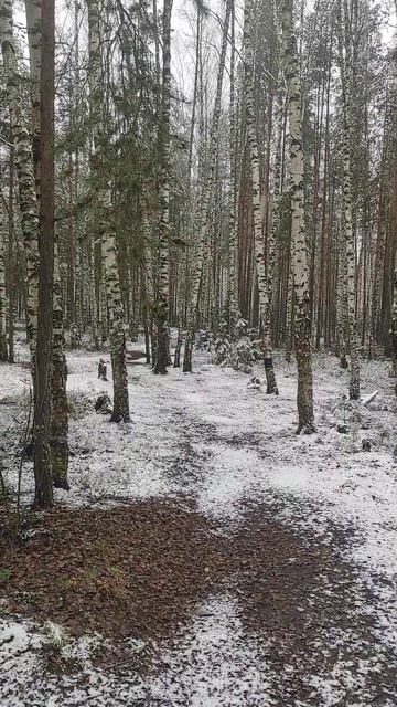 26 ноября 2025