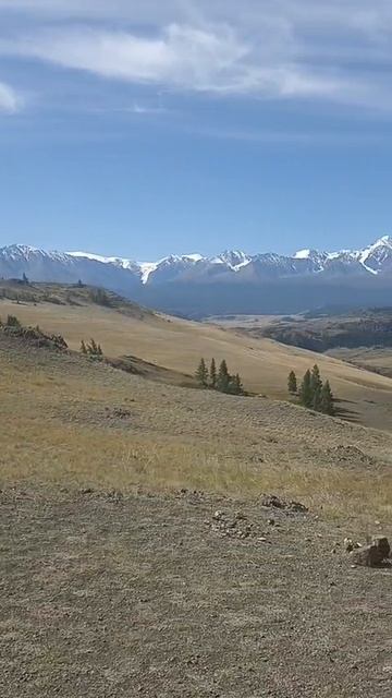 Волшебные просторы Алтая!