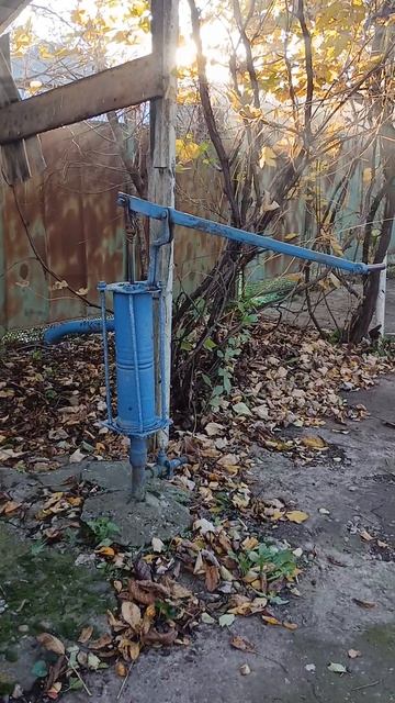 выходной в деревне