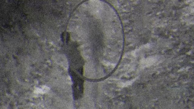 Профессор паранормальных явлений