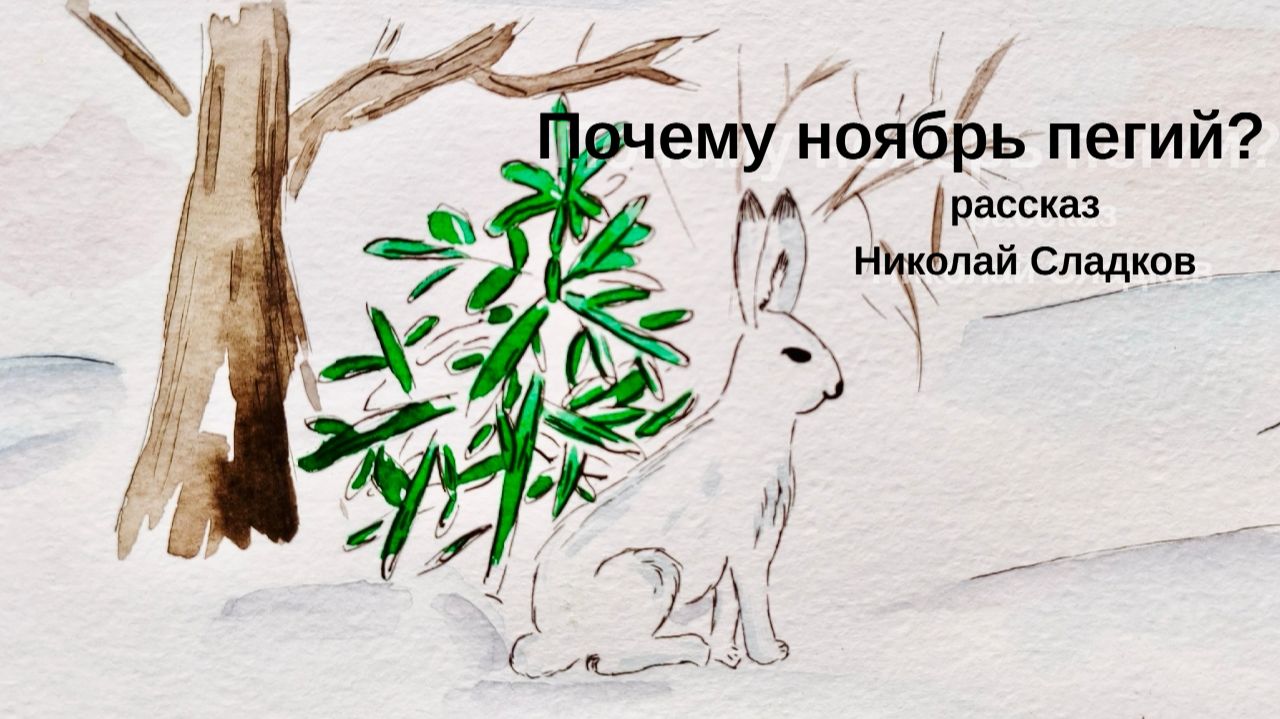 Почему ноябрь пегий? / Как звери спорили / Николай Сладков ДЕТЯМ