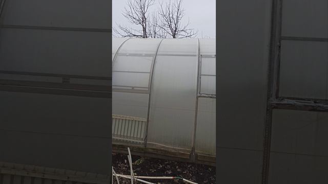 теплица 2 декабря #теплица #дача #садоводничество #огород #уходзатеплицей #зима #урожай