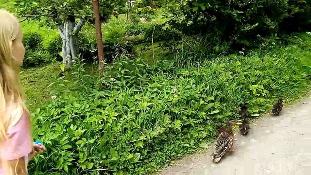 Ходили с подругами на прогулку.