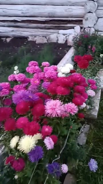 Отпуск. в деревне у родителей