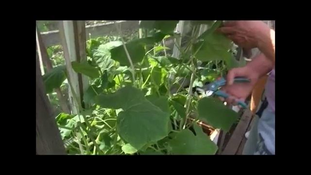 3 минуты о загородной жизни. Исправляем ошибки с Сергеем Богатским