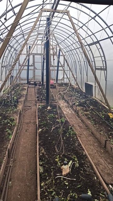 теплица 2 декабря #теплица #дача #садоводничество #огород #уходзатеплицей #зима #урожай