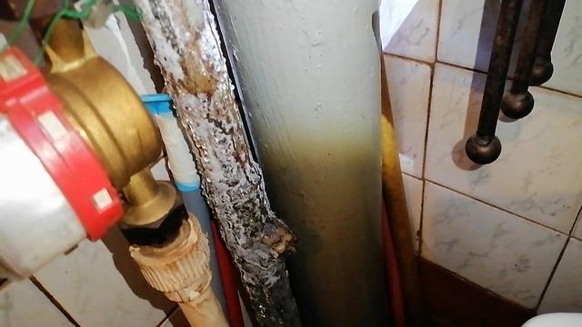 труба в грибках или плесени из-за конденсата
