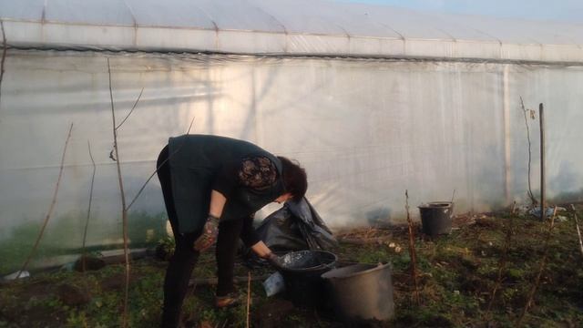 Осенние работы