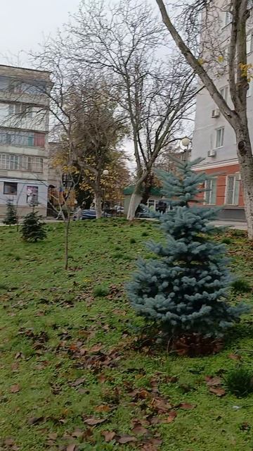 Бендеры, в осенний день ноябрьский