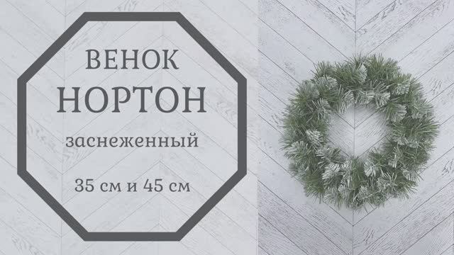 Обзор хвойного венка Нортон