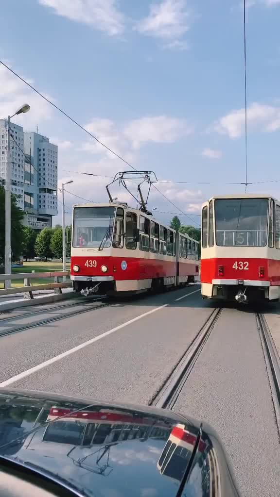 Подпишись 👉 👉 https://kamennyi-zver.ru