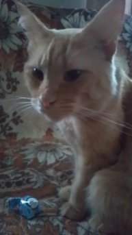 VID_20251202_120317.mp4